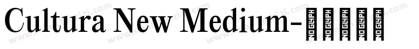 Cultura New Medium字体转换